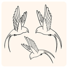 Free Spirits Hand-Drawn Flying Swallow Birds