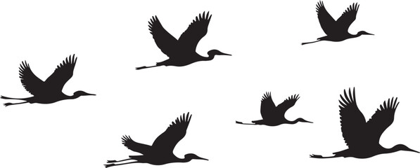 Obraz premium Majestic Birds in Flight Silhouette Graphic Pack
