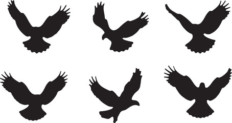 Majestic Birds in Flight Silhouette Graphic Pack