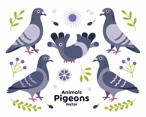 set of birds