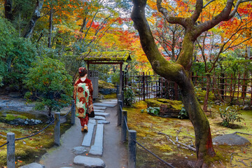 Japanese Woman in Traditional Kimono Dress at Tenju-an temple with beautiful foliage in autumn in...