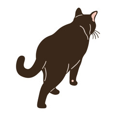 vector illustration of a cat