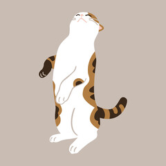 vector illustration of a cat