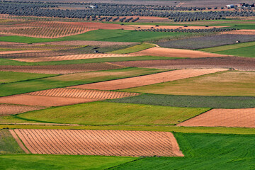 Agricultural industry. Farms in productive fields. Spain