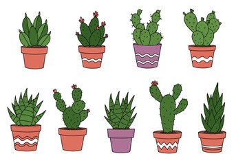 A Collection of Various Potted Succulent and Cactus Plants Displayed on a White Background Featuring Different Shapes and Pot Designs Showcasing Home Gardening and Desert Flora