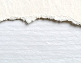 Close Up of Torn Paper Edge with Visible Fiber Strands and Gentle Soft Lighting