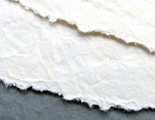 Close Up of Torn Paper Edge with Visible Fiber Strands and Gentle Soft Lighting