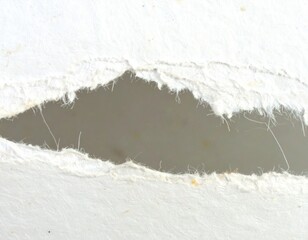 Close Up of Torn Paper Edge with Visible Fiber Strands and Gentle Soft Lighting