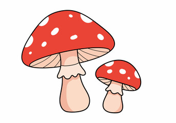 Charming Red and White Spotted Toadstools Illustrating the Enchantment of Forest Fungi with Delicate Gills and Sturdy Stems Displaying Their Natural Beauty