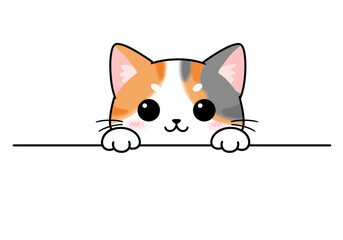 Adorable Calico Kitten Peeking Over a Blank White Surface With Curious Big Eyes and Paw Prints Clearly Visible