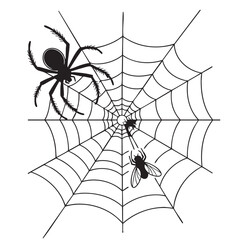 Fototapeta premium Black and white illustration of a spider and fly on a spiderweb insect