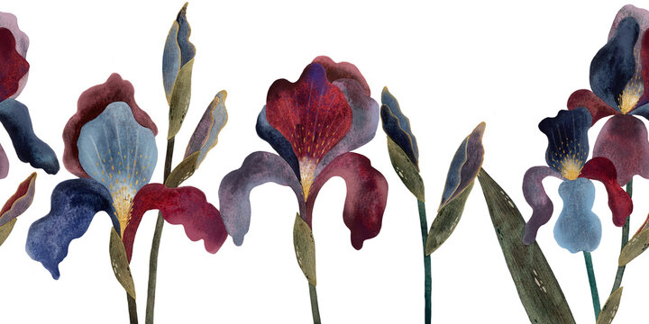 Seamless watercolor border featuring stylized iris flowers in blue and burgundy shades on a white background. Elegant and artistic, perfect for textile designs, wedding stationery, and unique patterns