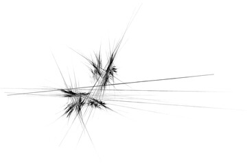 Obraz premium Abstract black spiky fractal design burst vector illustration with thin on transparent background