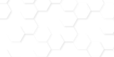 abstract vector minimal with 3d white hexagon background and Embossed Hexagon , honeycomb white mosaic cell web ,light and shadow texture design.