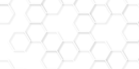 abstract vector minimal with 3d white hexagon background and Embossed Hexagon , honeycomb white mosaic cell web ,light and shadow texture design.