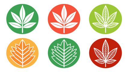 Fototapeta premium Set of stylized leaf icons in colorful circles