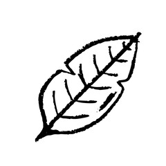 ILLUSTRATION SKETCH FOR THE NATURE THEME	