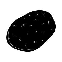 vector illustration of a black and white shark