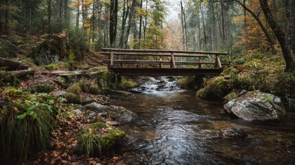 Wooden Bridge Crossing a Stream in the Middle of an Autumn Forest