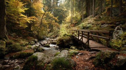 Wooden Bridge Crossing a Stream in the Middle of an Autumn Forest