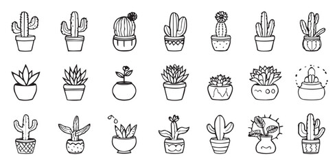 Succulent and cactus care and identification line icon set, including popular species. Desert plants, soil, watering and sunlight care symbols minimalist vector illustration