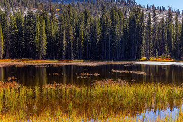 The lake