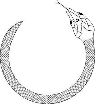 Snake with scales outline vector illustration 