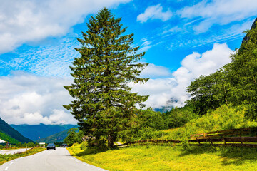 Scenic road