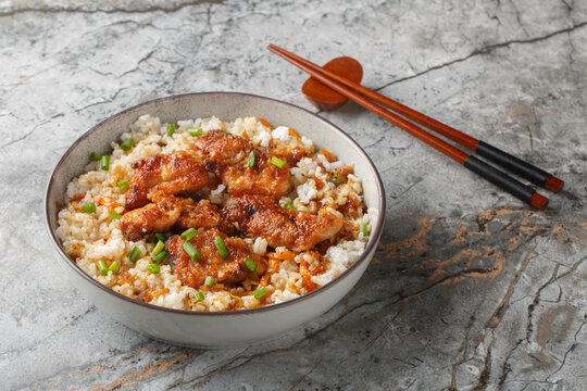 Tori meshi Japanese tradition food chicken and rice closeup in the bowl on the table. Horizontal