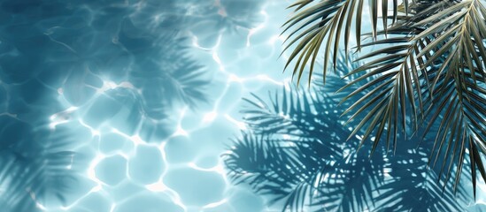 Pool water with tropical palm leaves