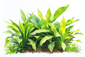 Fototapeta premium Watercolor botanical illustration of lush green plants showcasing vibrant leaves and natural beauty