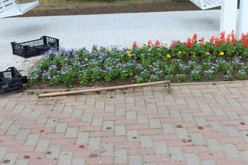 Flower bed with colorful blooms including red, yellow, and blue flowers. Nearby mattock for working...