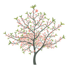 Obraz premium Delicate spring tree with pink blossoms and new green leaves