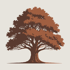 Fototapeta premium Majestic oak tree with autumn foliage on a neutral background