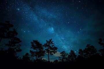 Fototapeta premium Silhouetted trees under a vibrant night sky filled with stars and the Milky Way