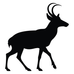 Sonoran pronghorn silhouette black vector isolated on white background