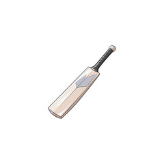 Cricket bat icon logo flat vector design