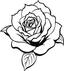 White Rose Illustration on Black Background with Floral Design