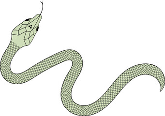 Green and black Snake with scales vector illustration 