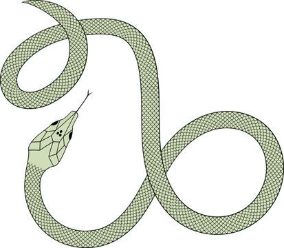 Green and black Snake with scales vector illustration 