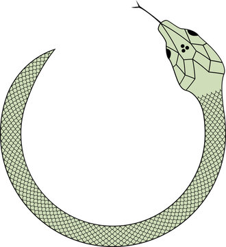 Green and black Snake with scales vector illustration 