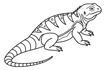 coloring page line art the uromastyx black vector