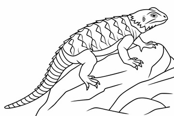 coloring page line art the uromastyx black vector