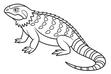 coloring page line art the uromastyx black vector