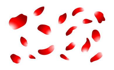 Realistic red rose flower petals overlay on a transparent background