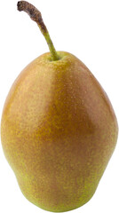 A single pear with a brown stem isolated against a black background close up on transparent background