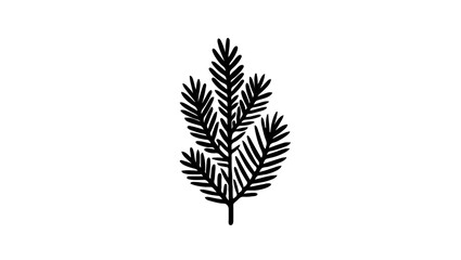 Fir tree branch illustration in black and white


