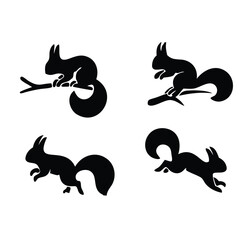 Squirrels in various poses on branches