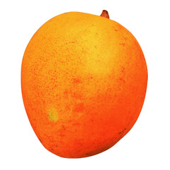 Close up shot of a single ripe mango fruit with a smooth skin on a black background on transparent background