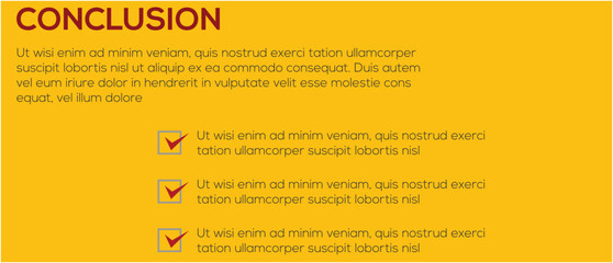 Conclusion summary with checked points and final decision for business
